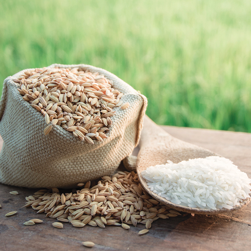 Sardinian Rice