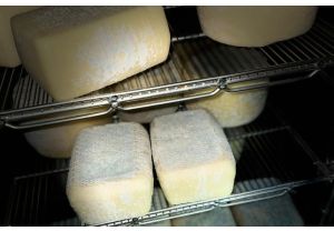 Dilica pecorino molle - forma rettangolare