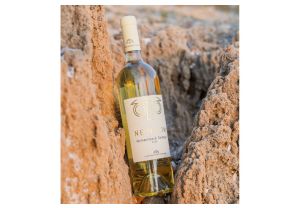 NEPHILIM VERMENTINO DI SARDEGNA D.O.C. 2024- 6 pz