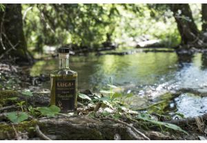 Sardinian Fennel Liqueur 50 cl