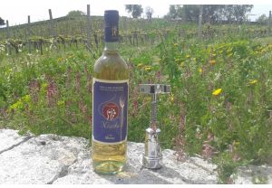 Vino Arvesiniadu Niadu - 6 bottiglie