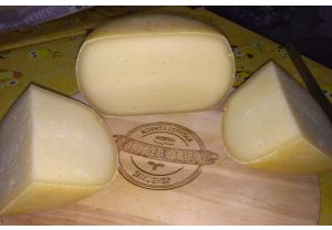 Formaggio pecorino