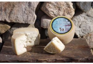 Pecorino con caglio vegetale - senza lattosio una forma