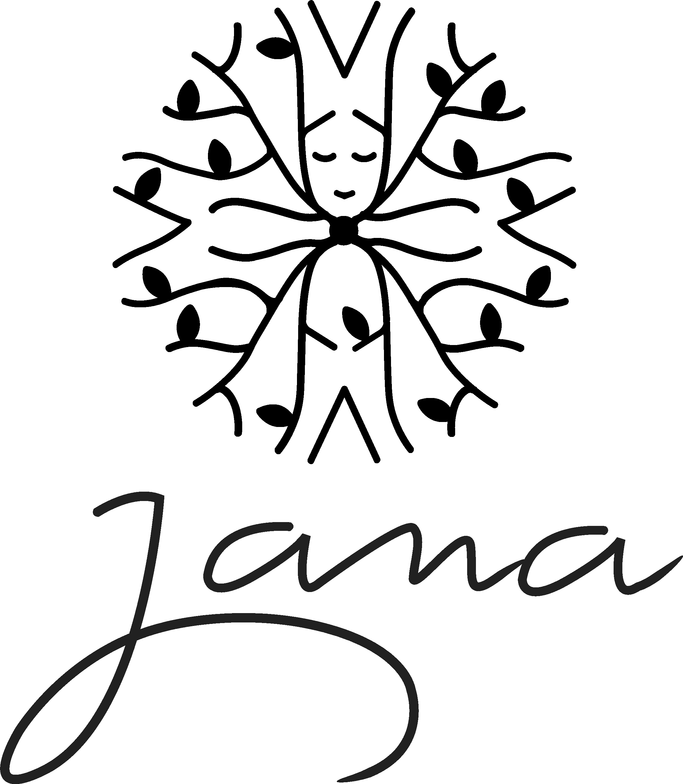 Go to jana vendor-logo