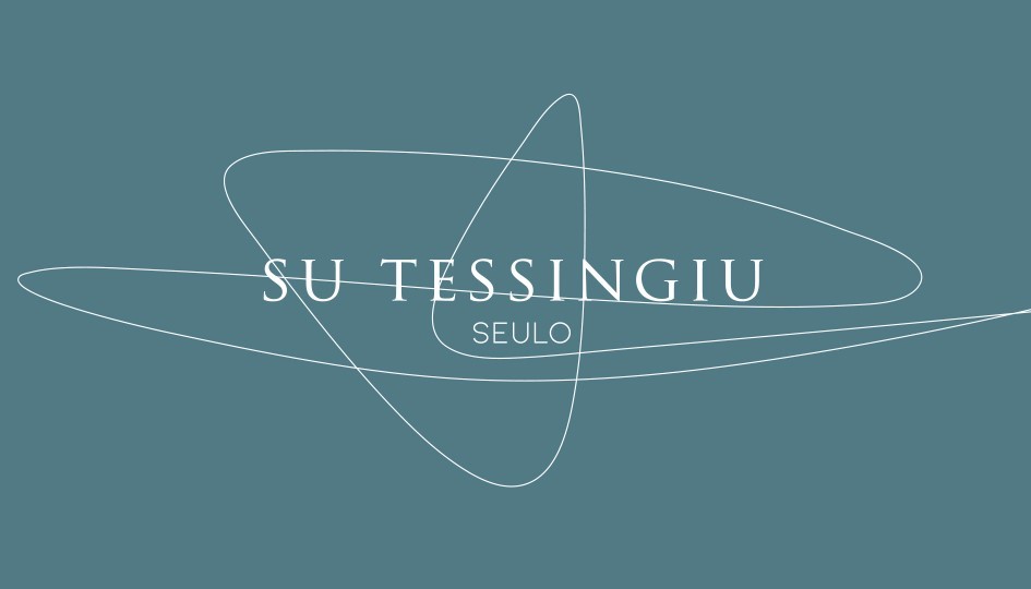 Go to sutessingiu vendor-logo
