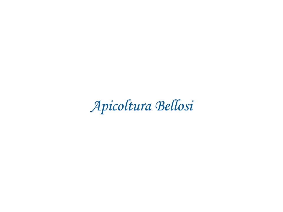 Go to apicolturabellosi vendor-logo