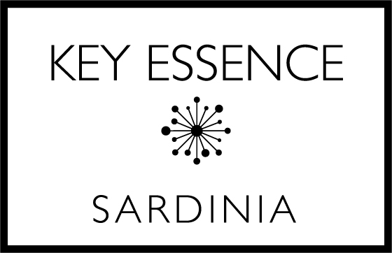 Go to keyessence vendor-logo
