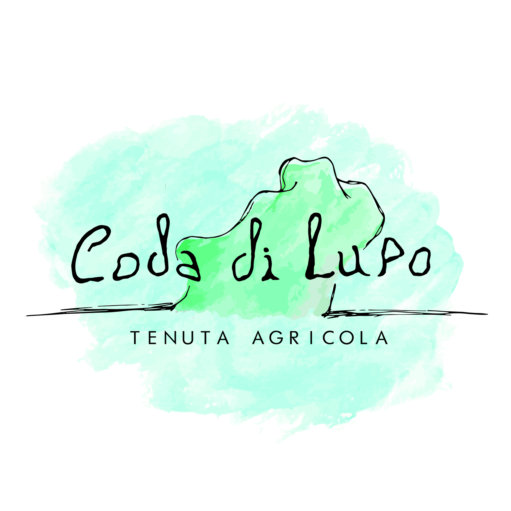 Go to codadilupo vendor-logo