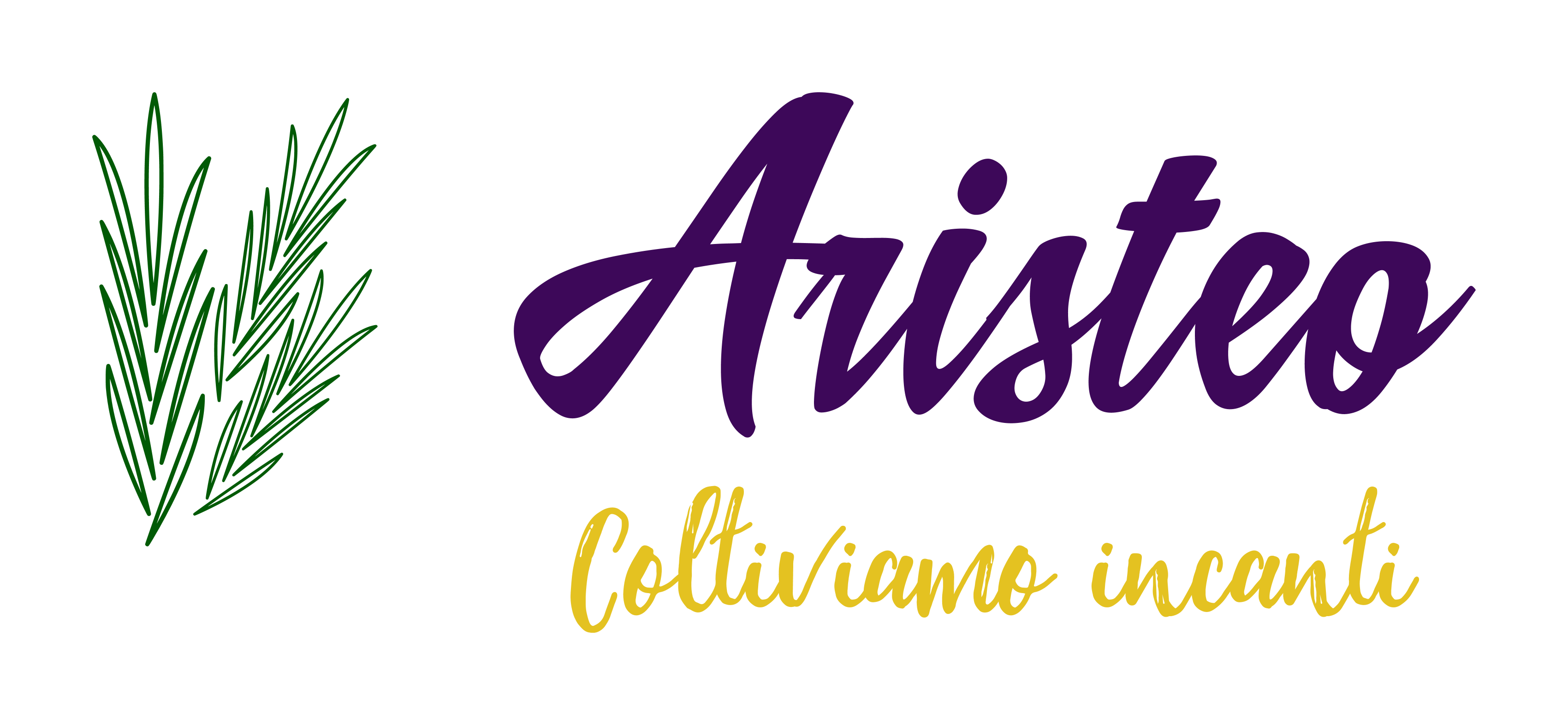Go to aristeo vendor-logo