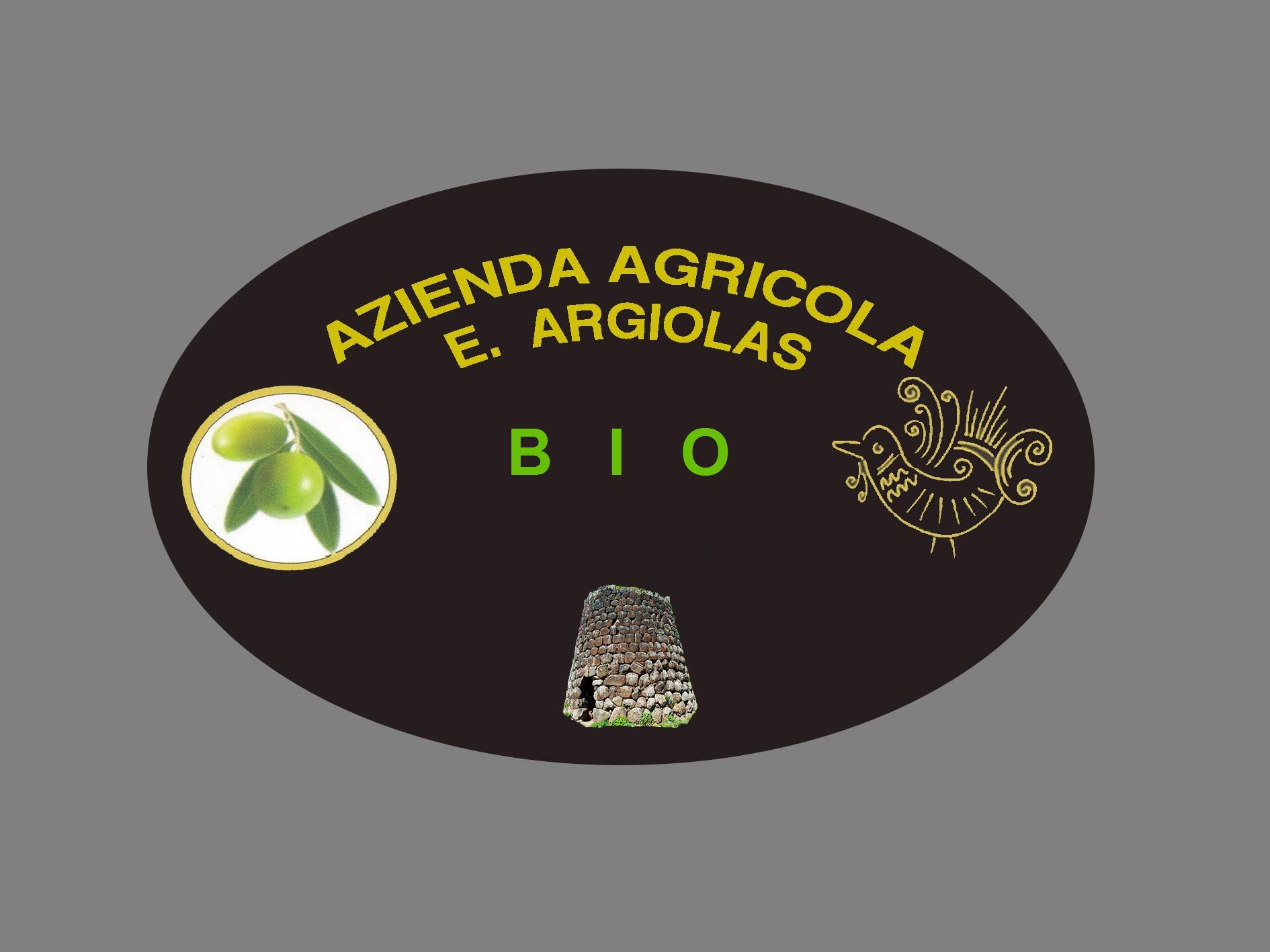 Go to eliaargiolas vendor-logo